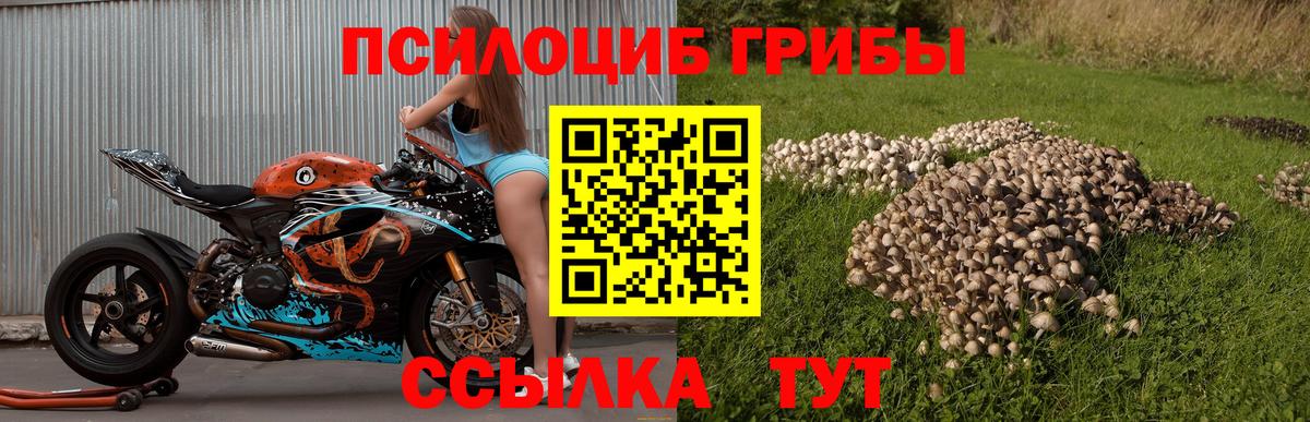 Псилоцибиновые грибы мухоморы Евпатория